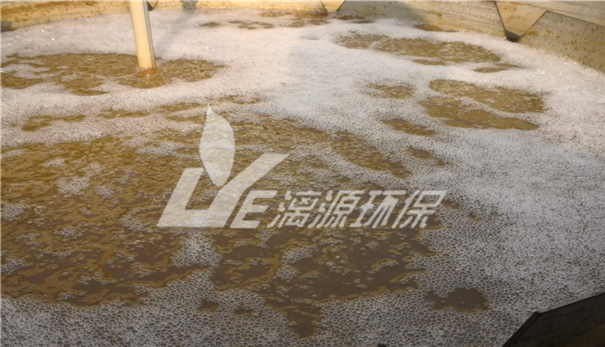 酵母生產(chǎn)廢水處理工藝 酵母生產(chǎn)廢水處理工藝